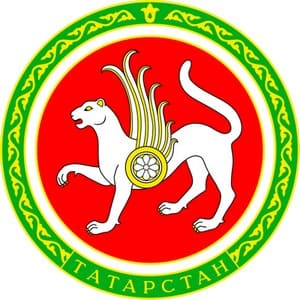 ИТ Аутсорсинг для организаций в Казани, республике Татарстан